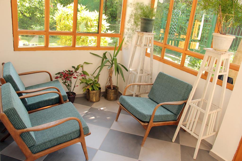 Zeravica Rooms B&B Sremski Karlovci Buitenkant foto